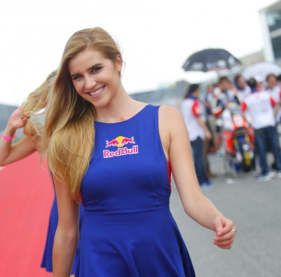 MotoGP Гран-При Америк 2014: Девушки паддока