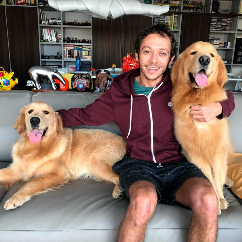 Валентино Росси с собаками (январь 2019)